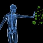 Your Immune System and Substance Use